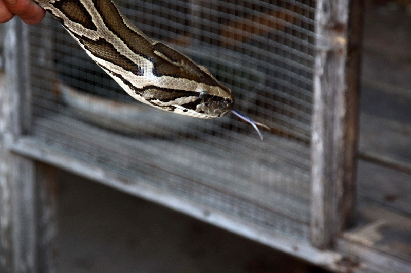 16_cai_be_fabrication artisanale_023.jpg